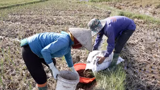 Lào Cai: Nhiều giải pháp hướng đến giảm phát thải trong sản xuất nông nghiệp
