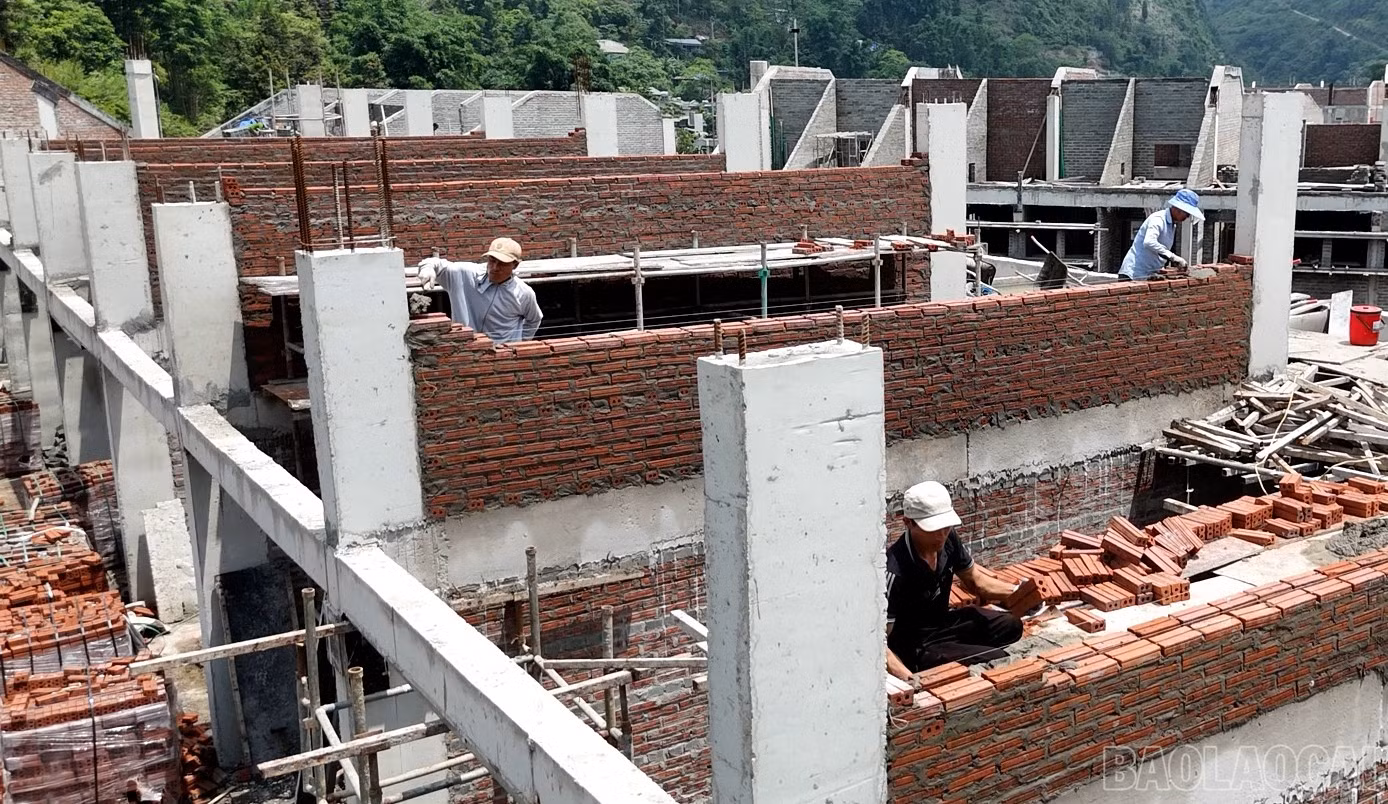 baolaocai-br_liencap-6.jpg