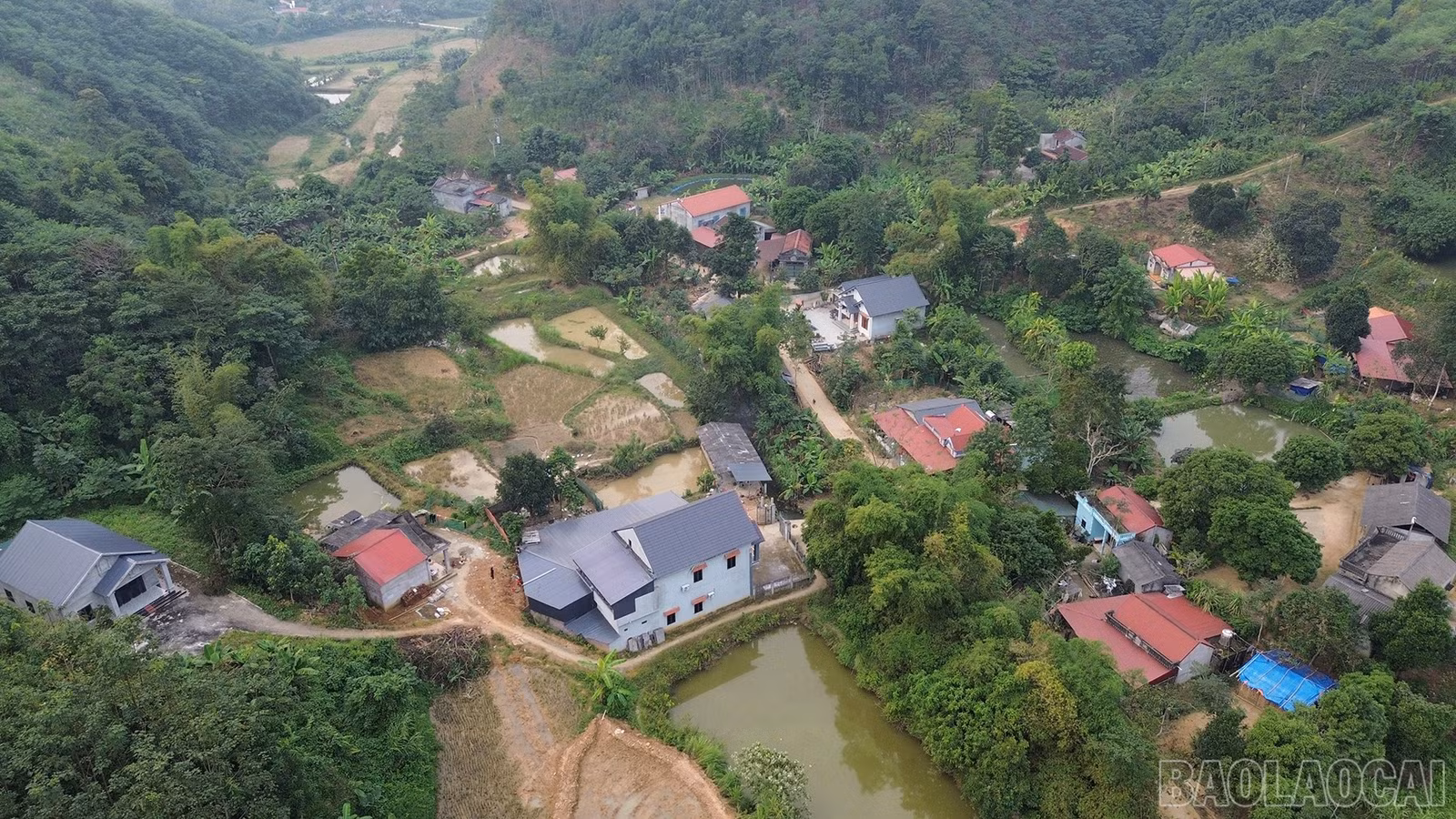 baolaocai-br_dji-0472.jpg
