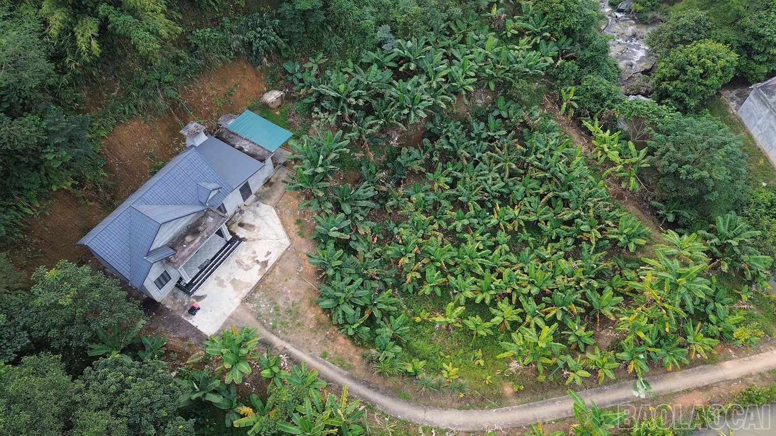 baolaocai-br_dji-0479.jpg
