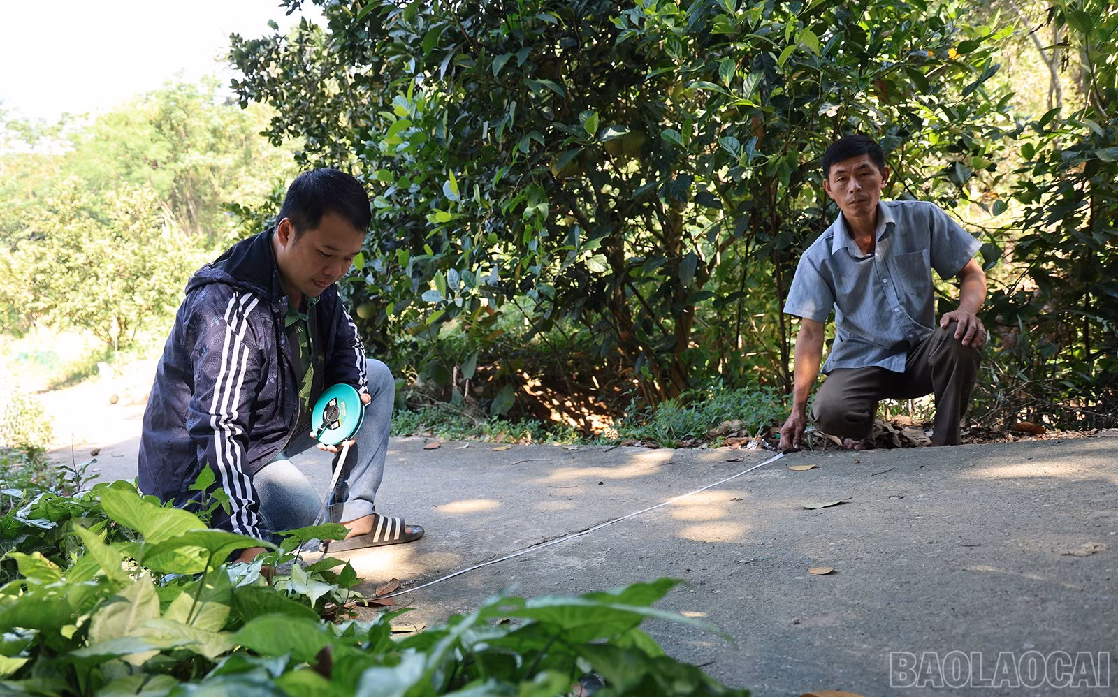 baolaocai-br_img-0831.jpg
