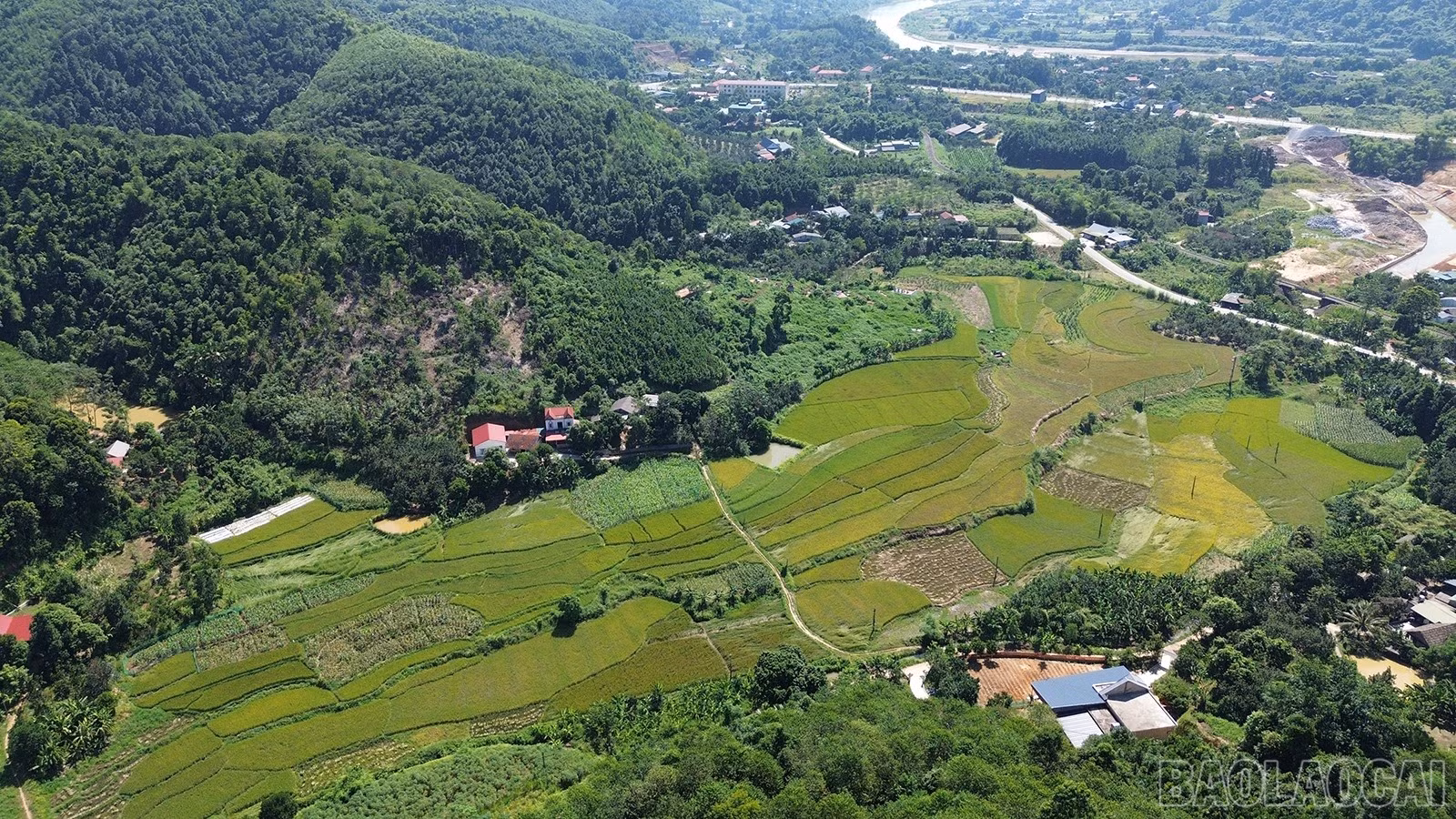 baolaocai-br_dji-0022.jpg