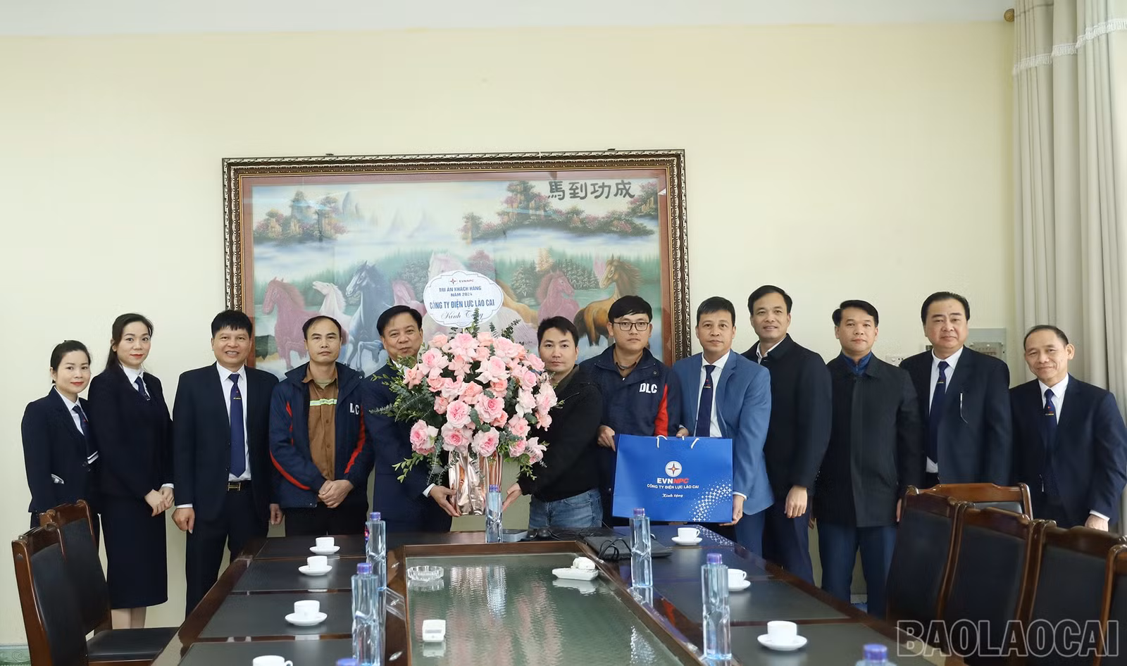 baolaocai-br_img-6441.jpg