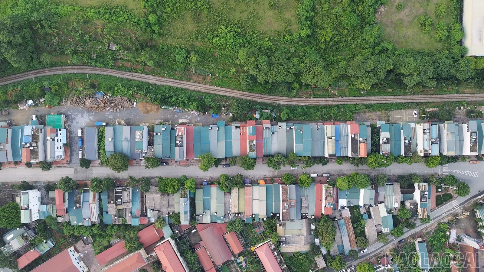 baolaocai-br_dji-0053.jpg
