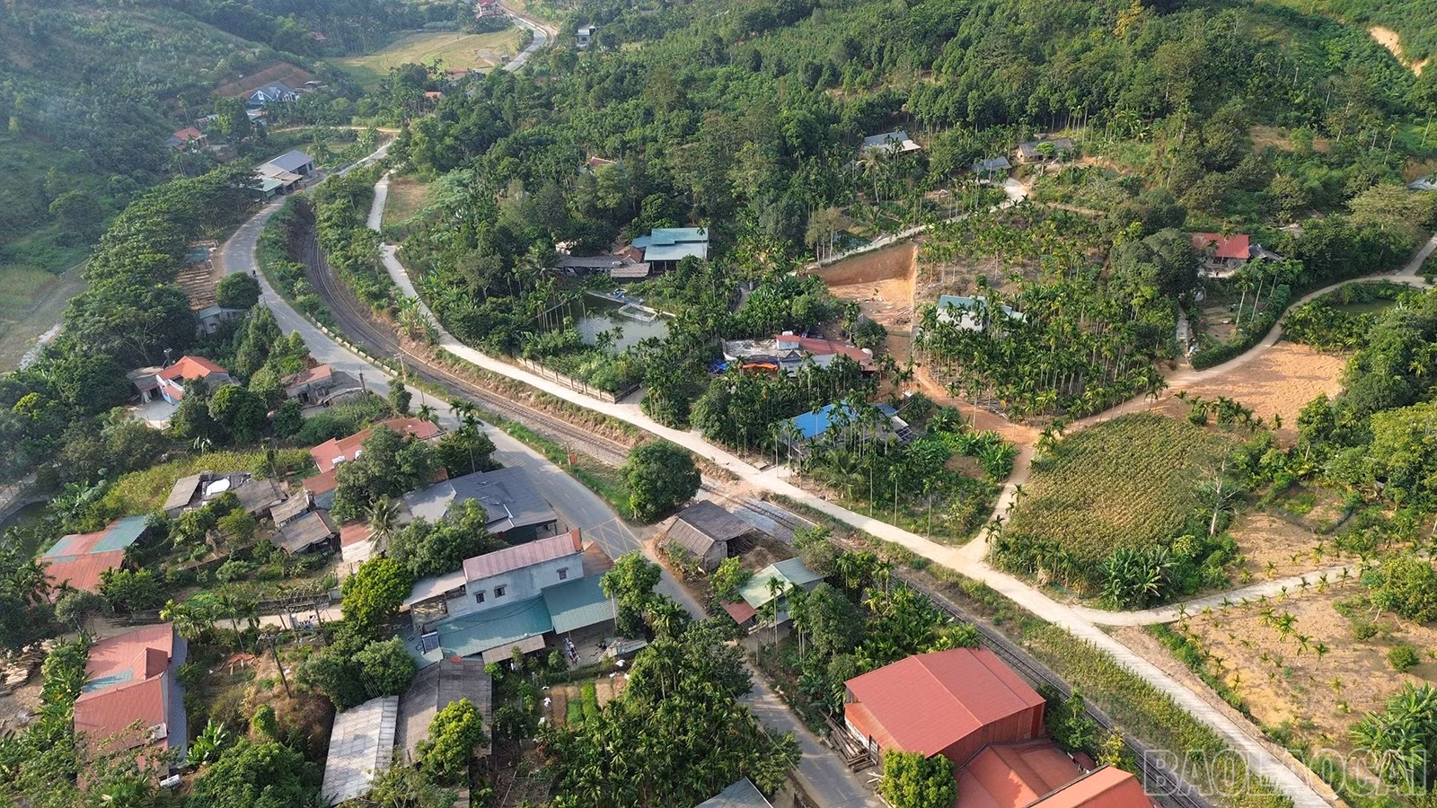 baolaocai-br_duonggom-2.jpg