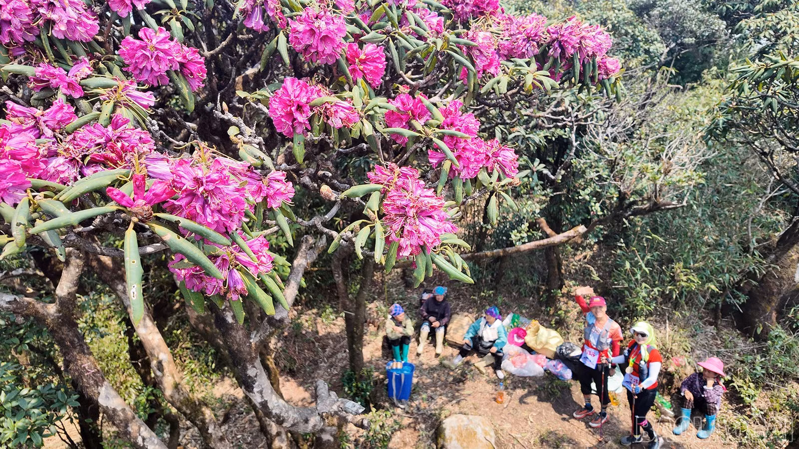 baolaocai-br_bs-2.jpg