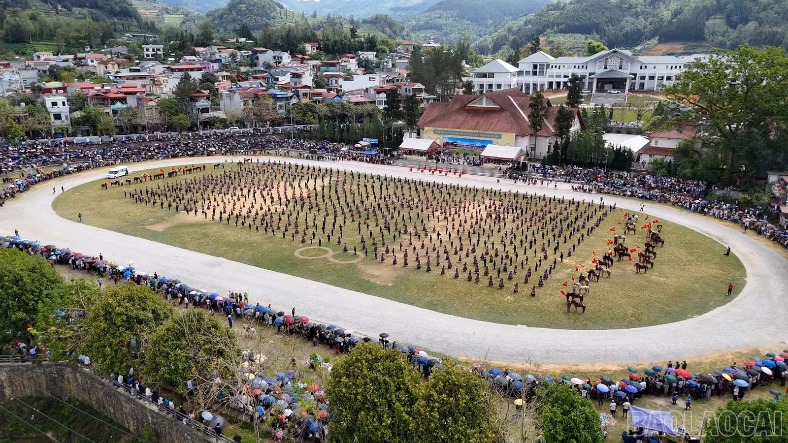 baolaocai-br_a1-4.jpg