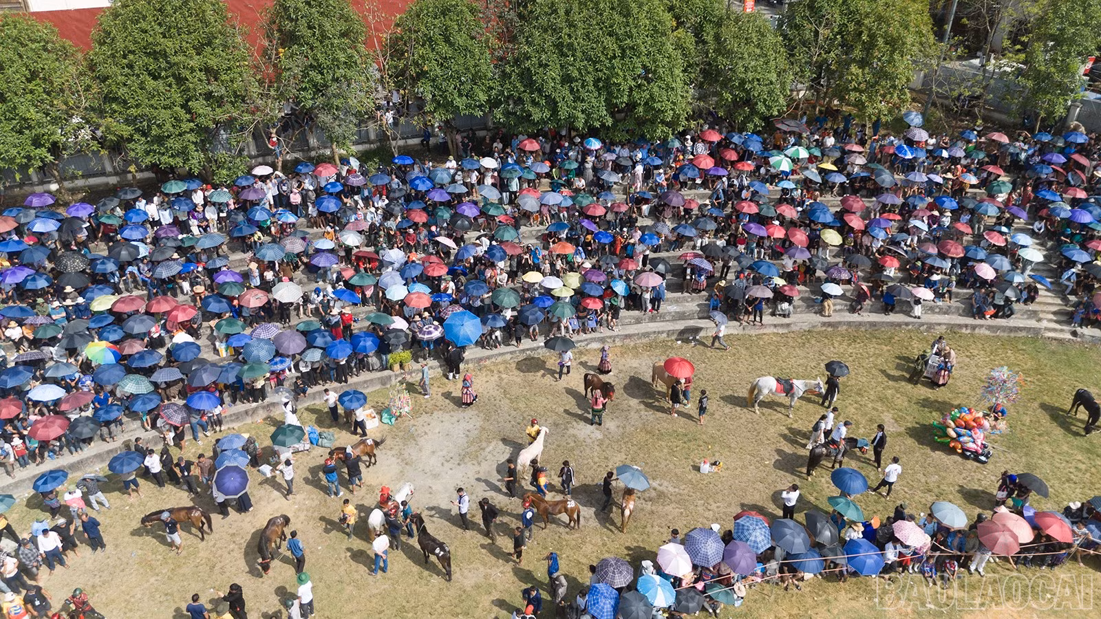 baolaocai-br_khandai.jpg