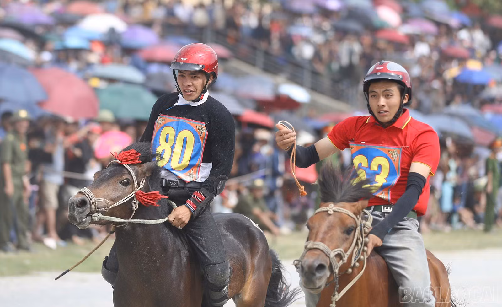 baolaocai-br_chungket-16.jpg