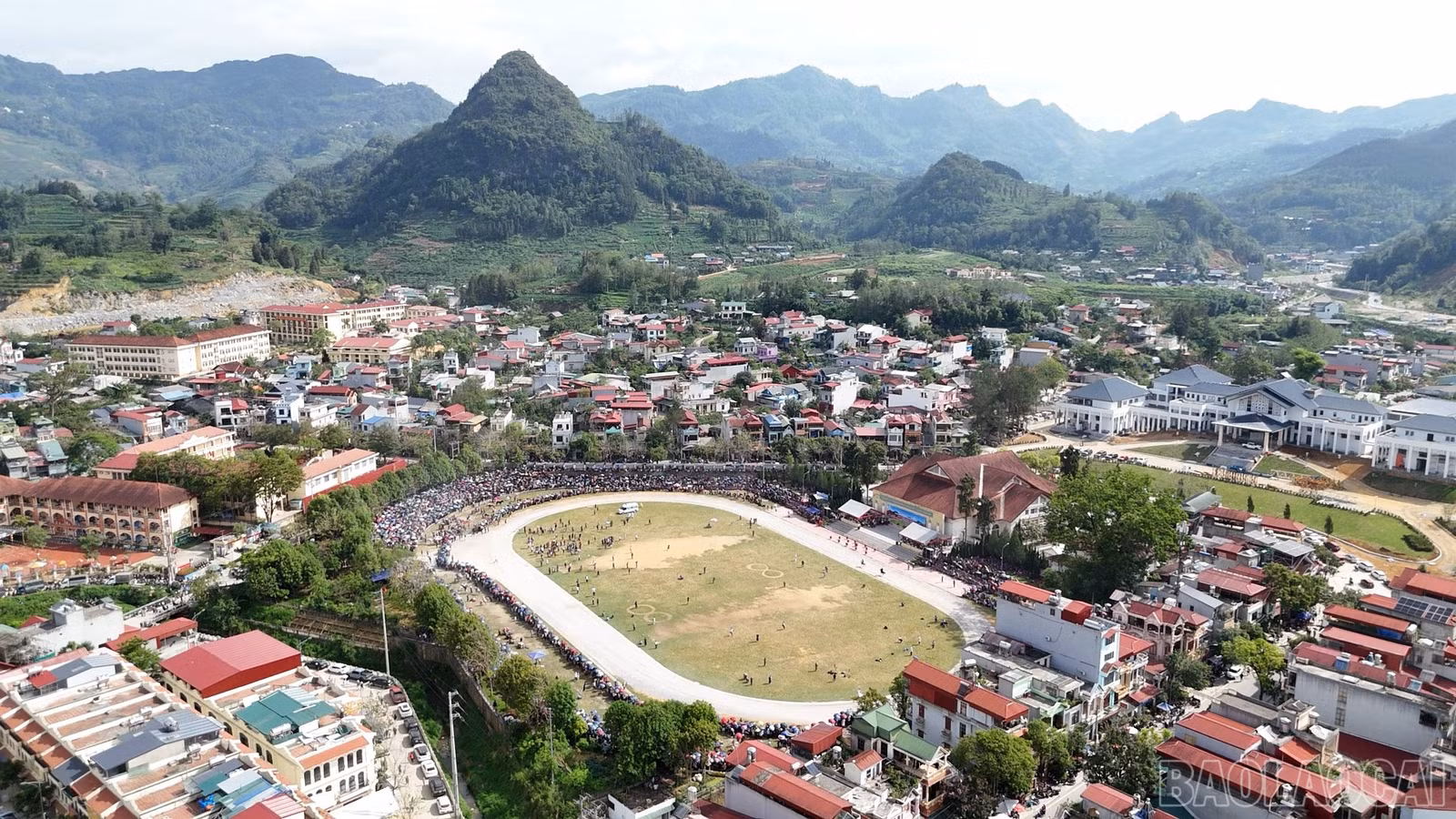 baolaocai-br_a1-1.jpg
