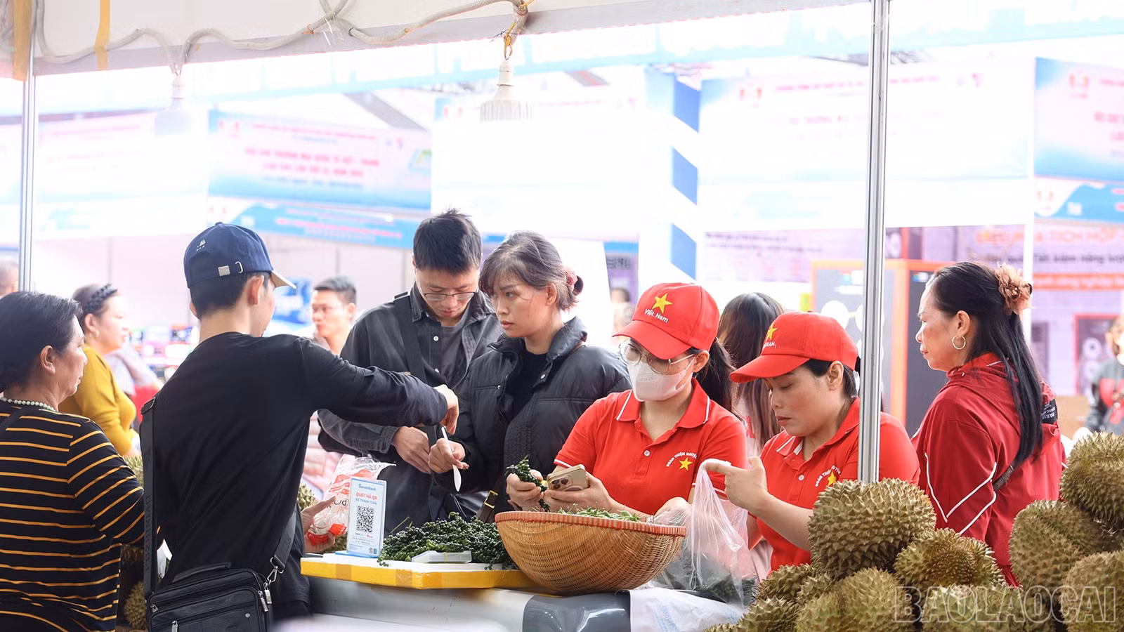 baolaocai-br_img-0733.jpg
