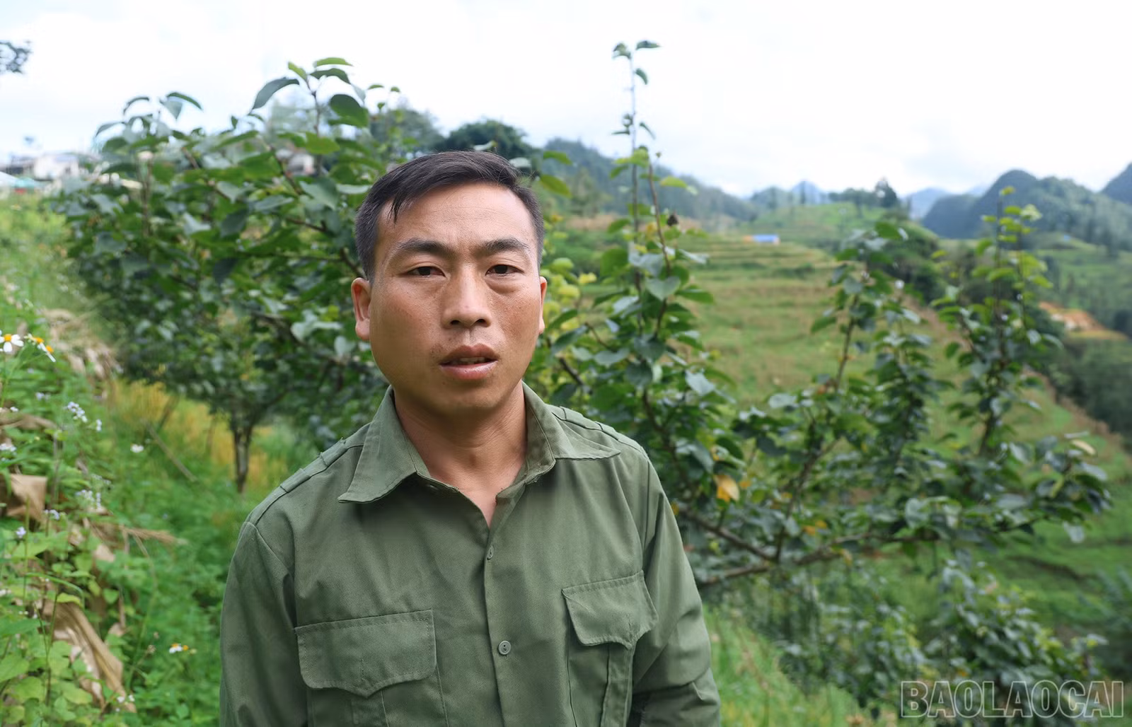 baolaocai-br_giang-van-leng-thon-mao-chao-su.jpg
