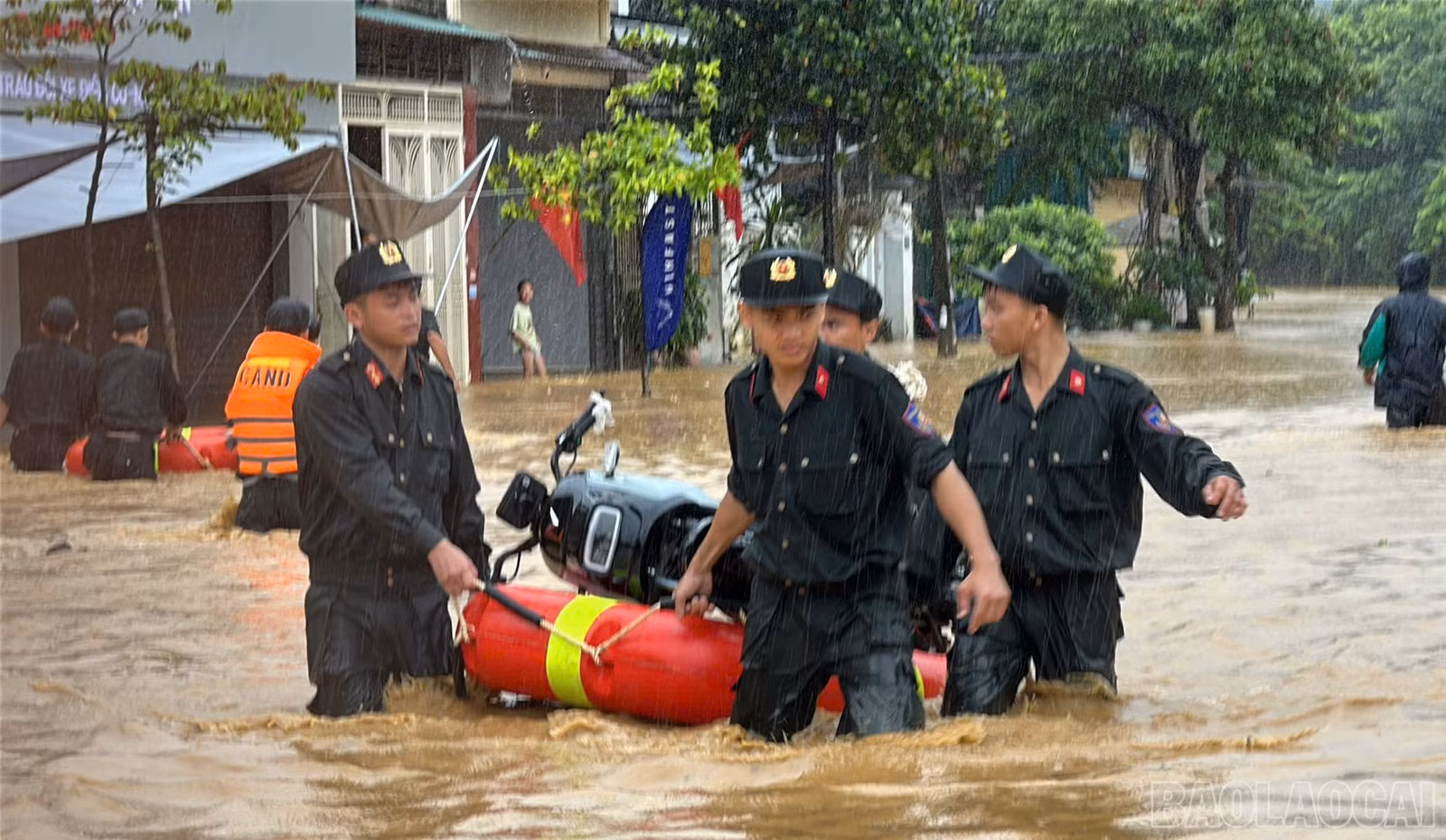 baolaocai-br_mliu-2.jpg