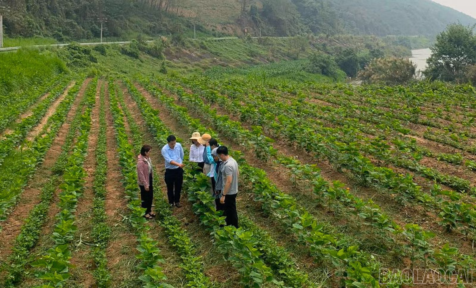 baolaocai-br_thiet-ke-chua-co-ten.jpg