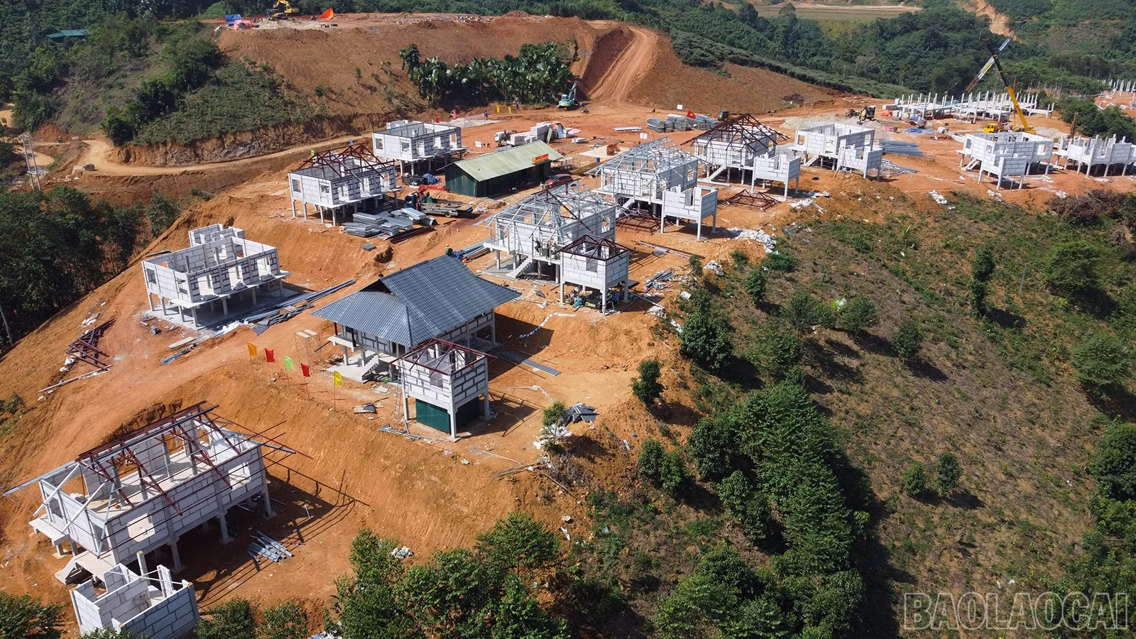 baolaocai-br_dji-0490.jpg