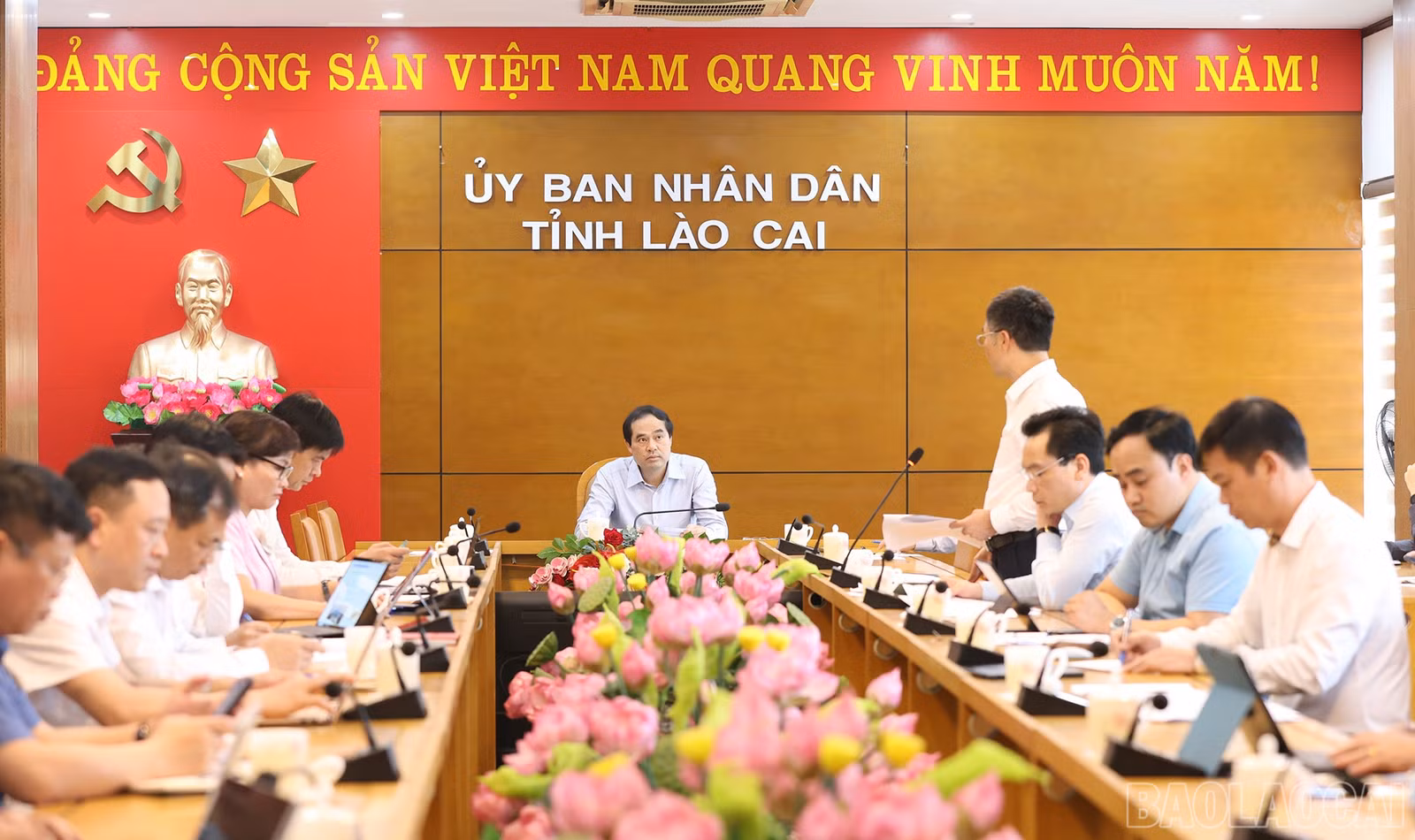 baolaocai-br_hop-1.jpg