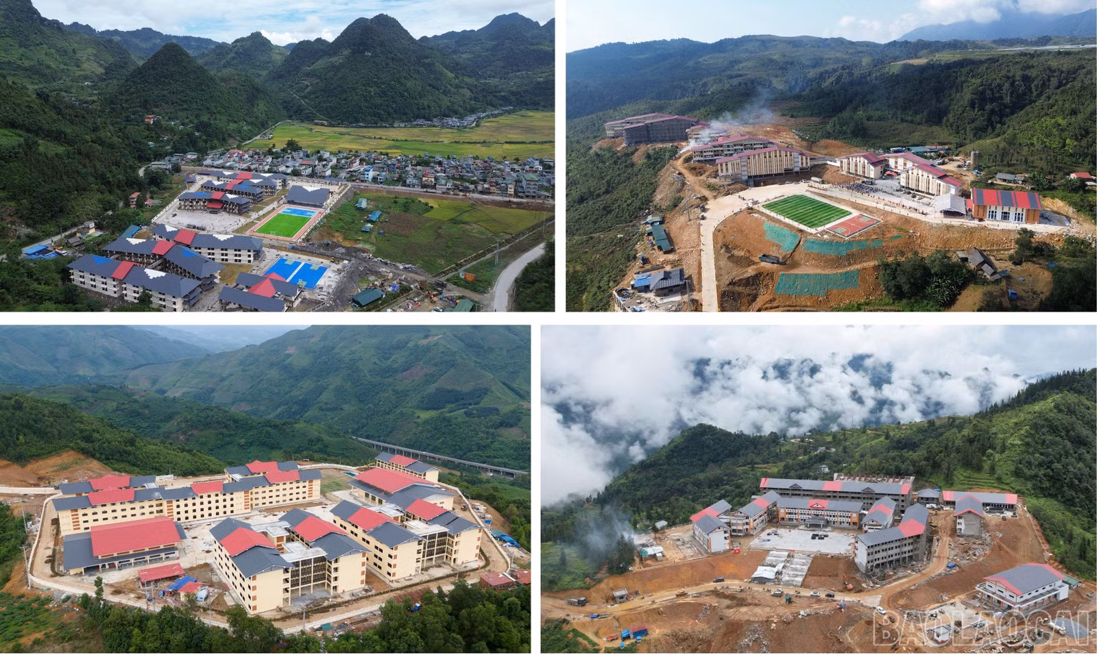 baolaocai-br_3.jpg
