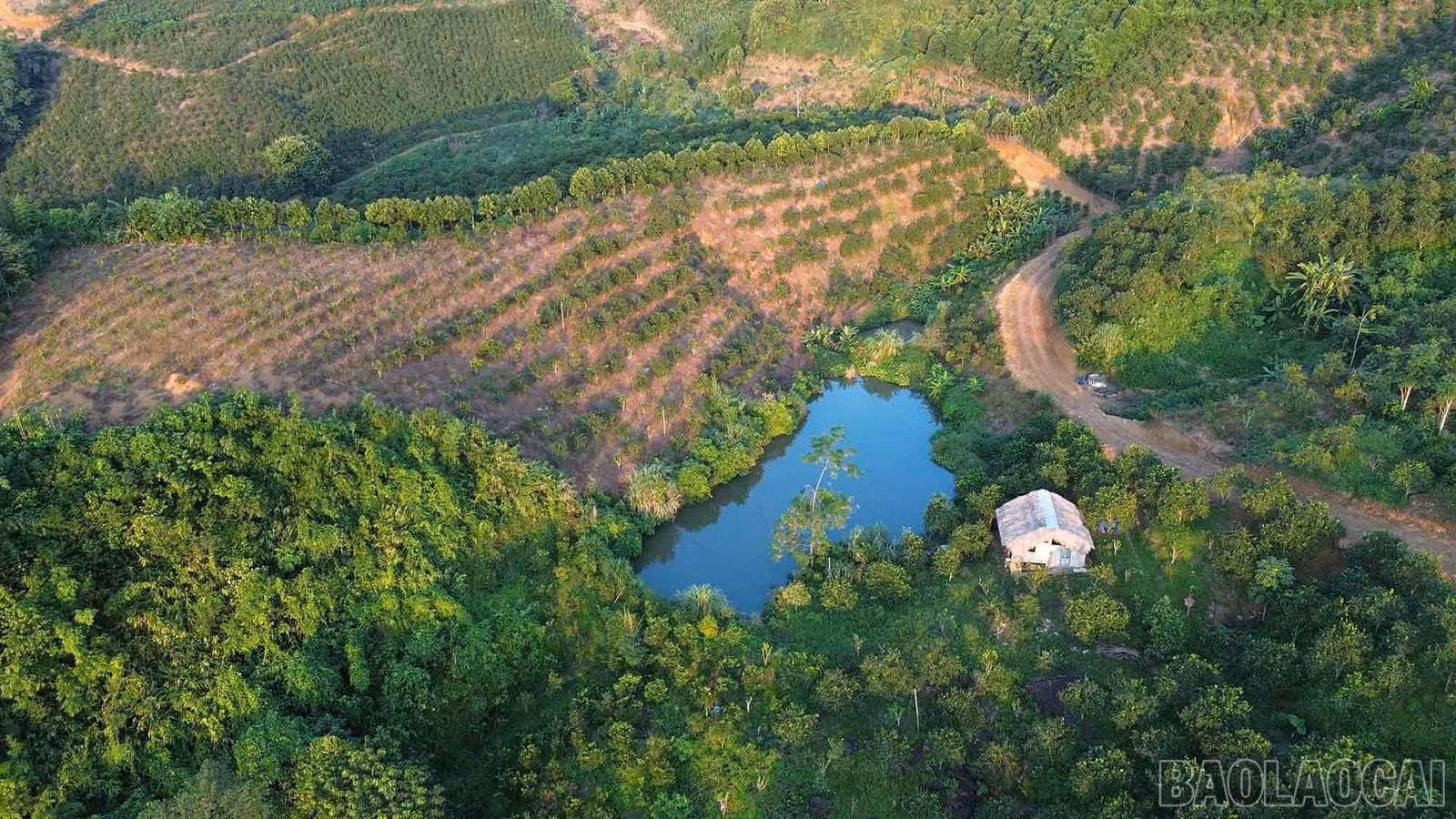 baolaocai-br_plgiaothong-9.jpg