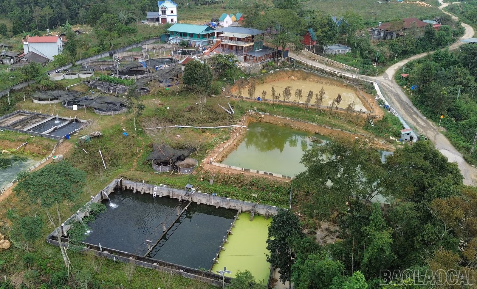 baolaocai-br_dji-0098.jpg
