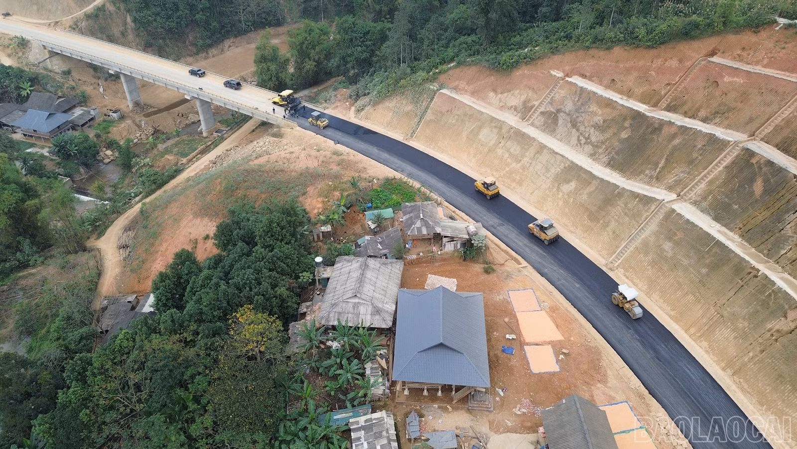baolaocai-br_dji-0737.jpg