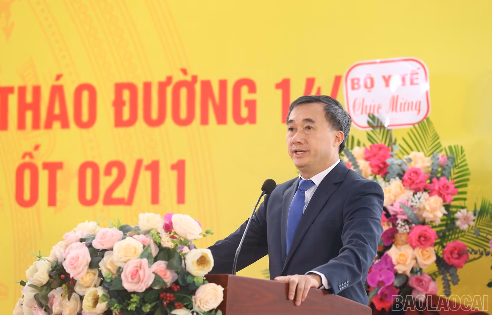 baolaocai-br_img-1596.jpg