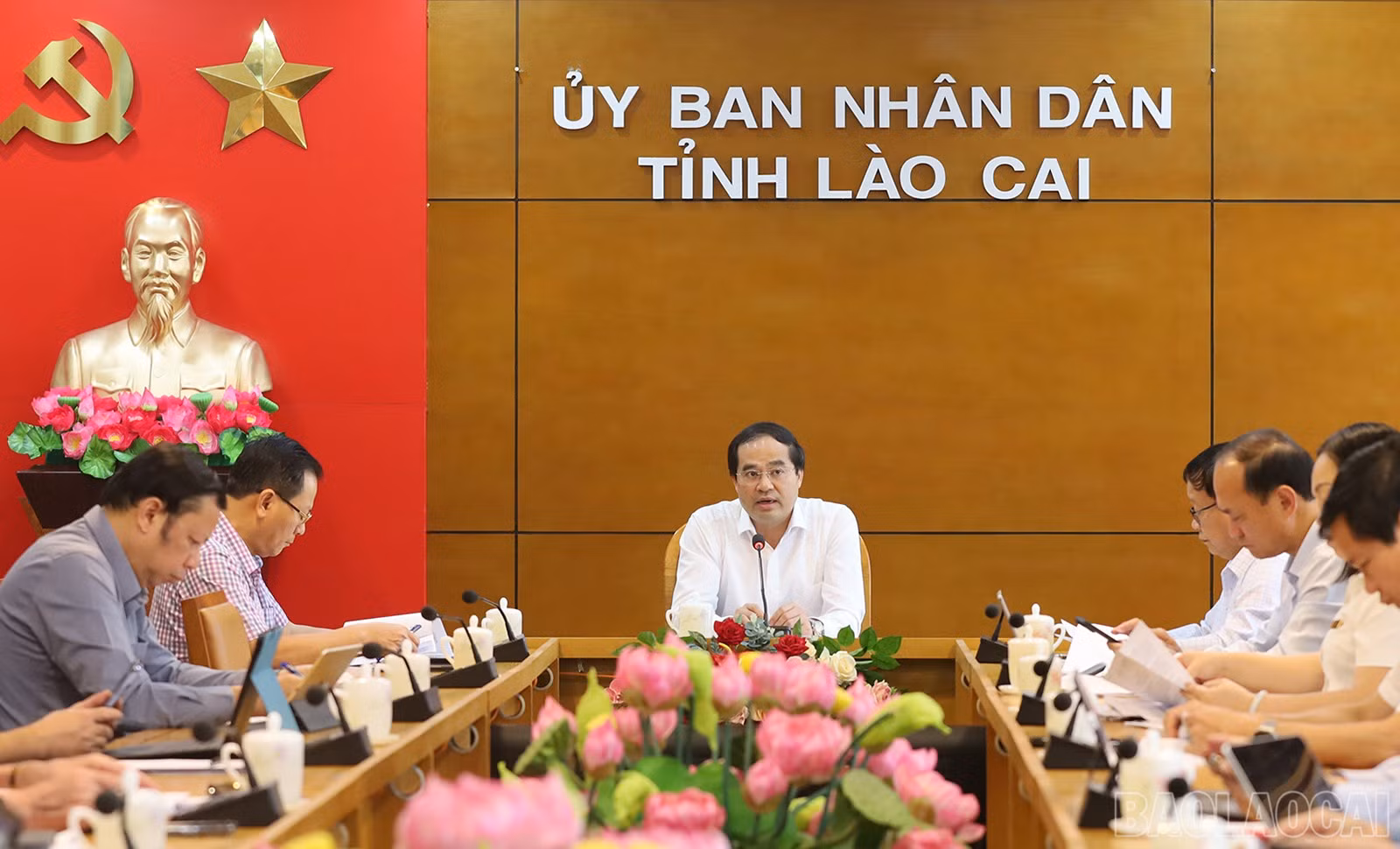 baolaocai-br_tns-3-3853.jpg