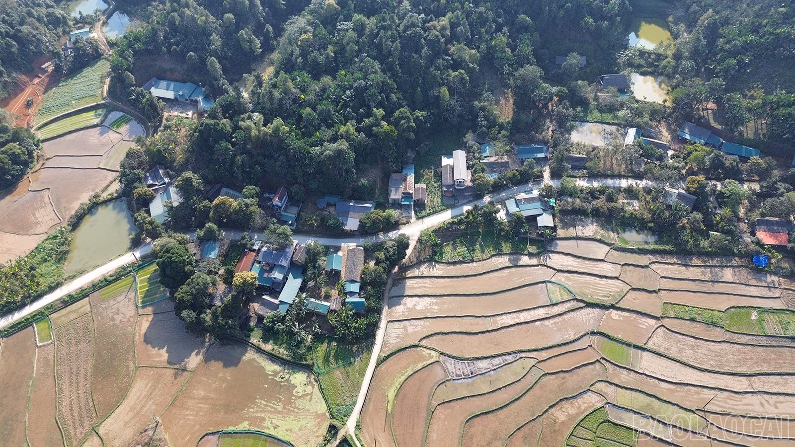 baolaocai-br_dji-0257.jpg
