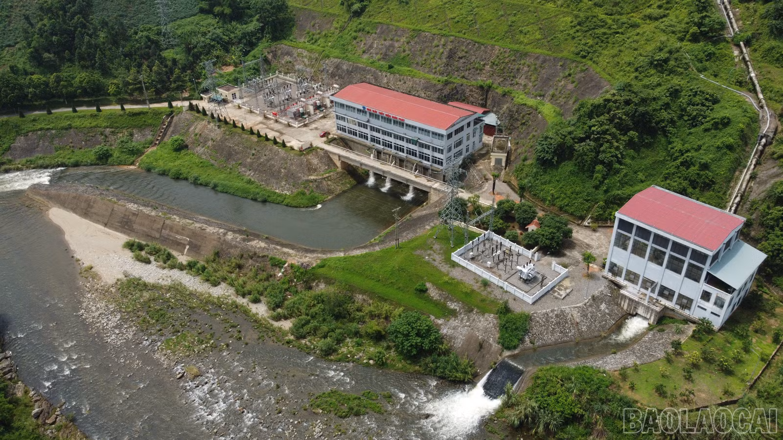 baolaocai-br_td-2.jpg