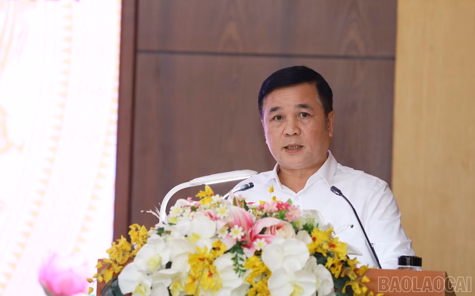 baolaocai-br_img-6950.jpg