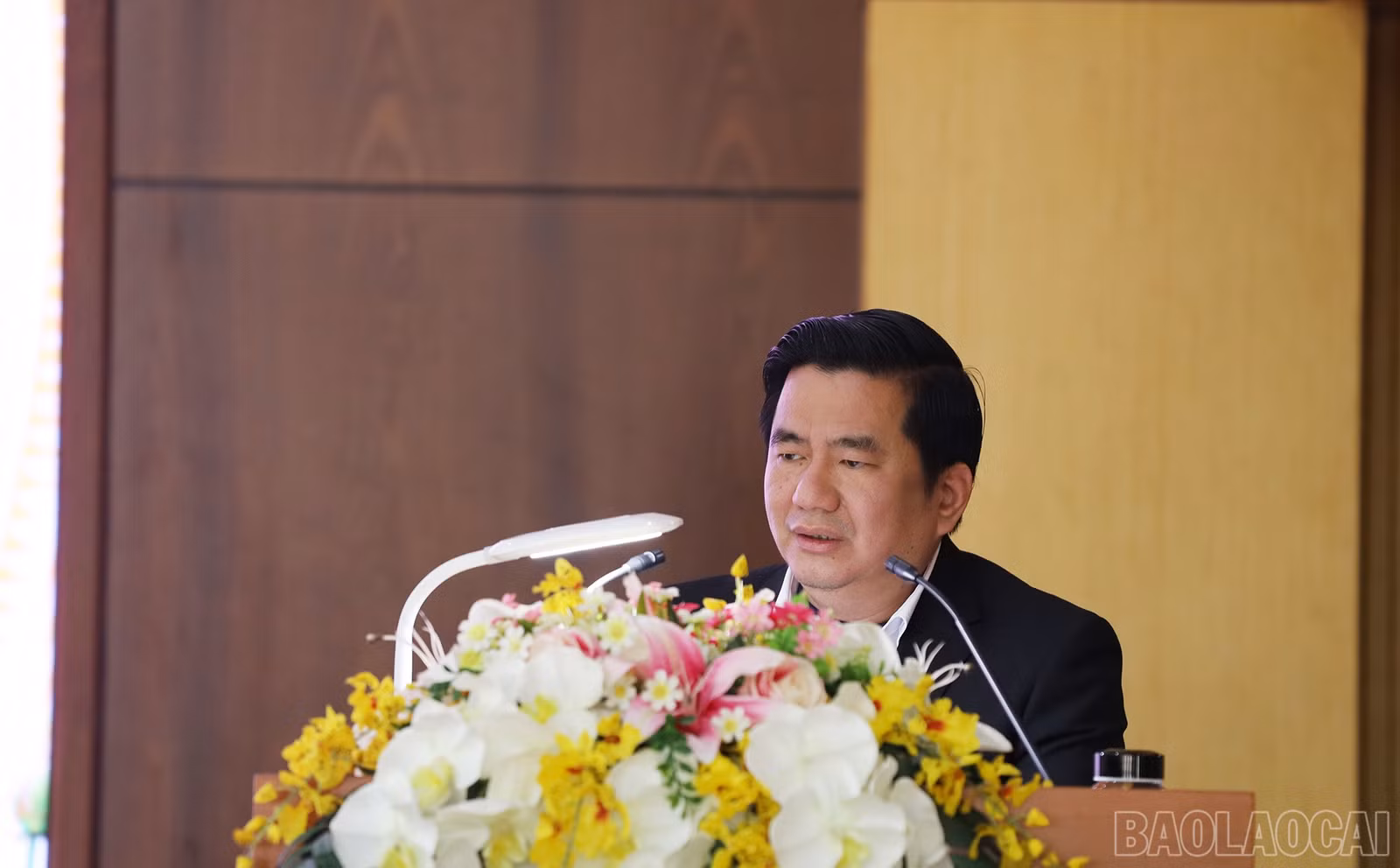 baolaocai-br_img-6923.jpg