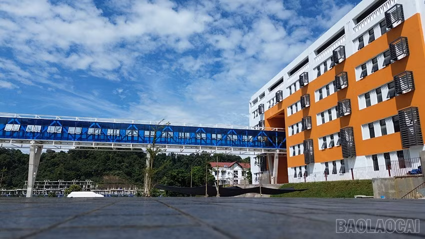 baolaocai-br_dji-0123.jpg