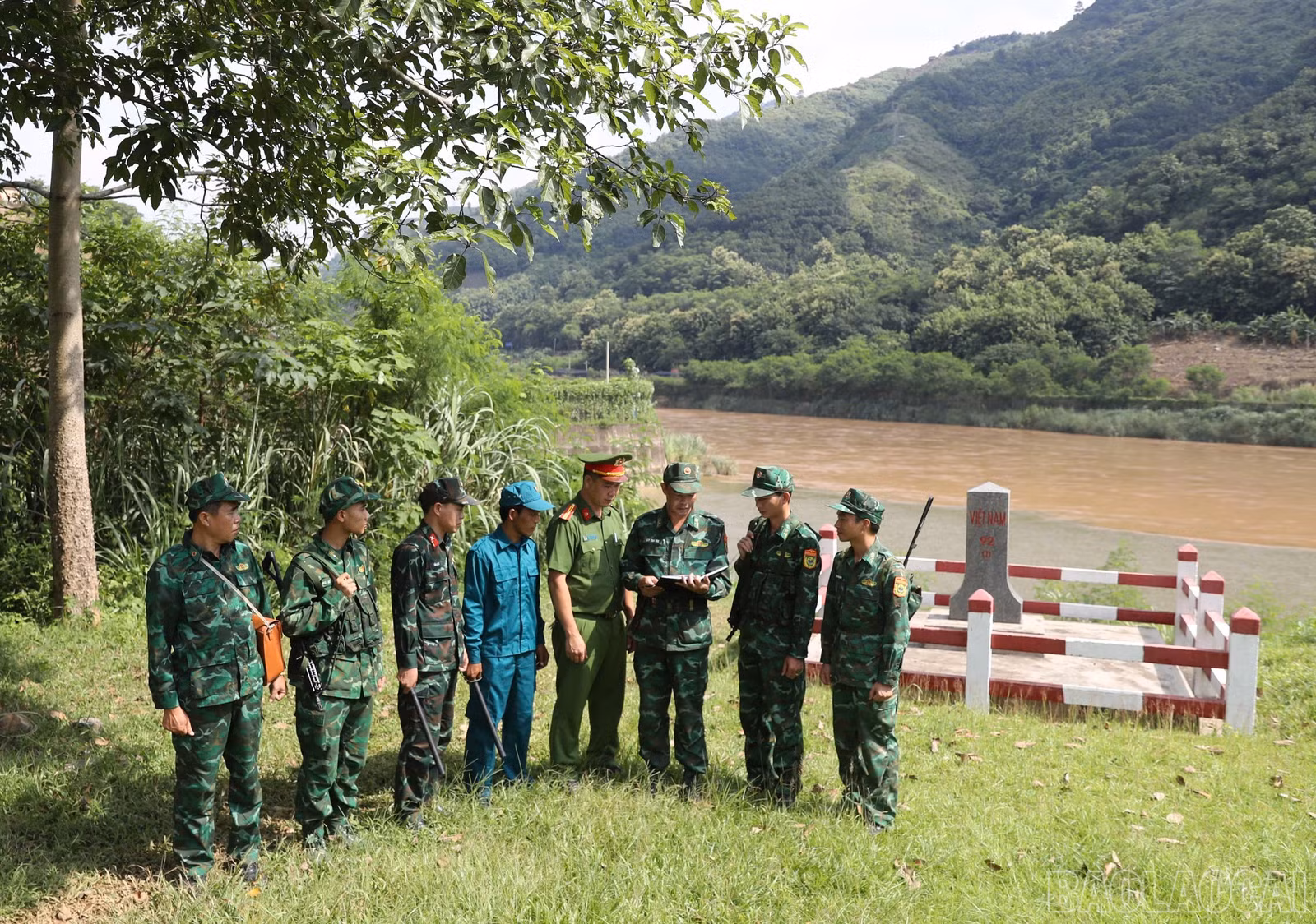 baolaocai-br_amusung-1.jpg
