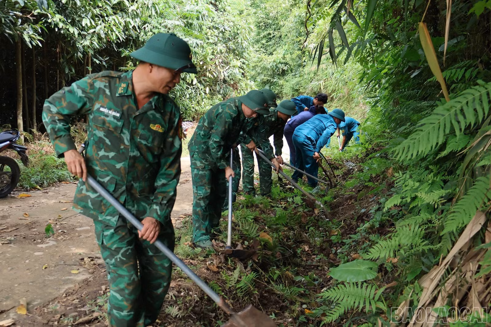 baolaocai-br_amusung-8.jpg