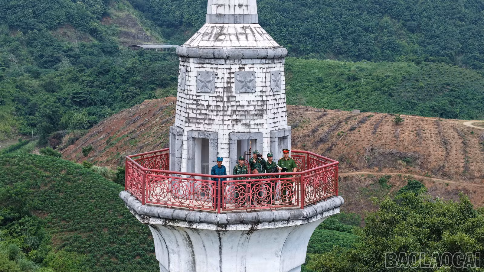 baolaocai-br_a11.jpg