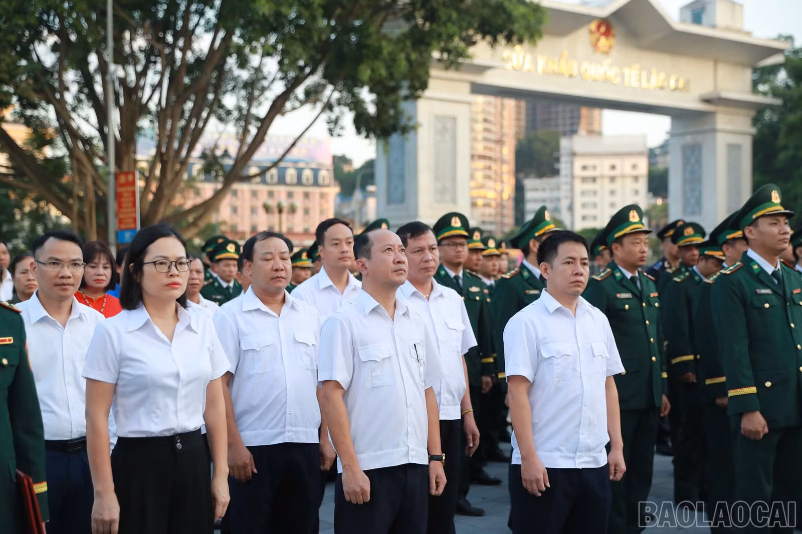 baolaocai-br_cc-14.jpg