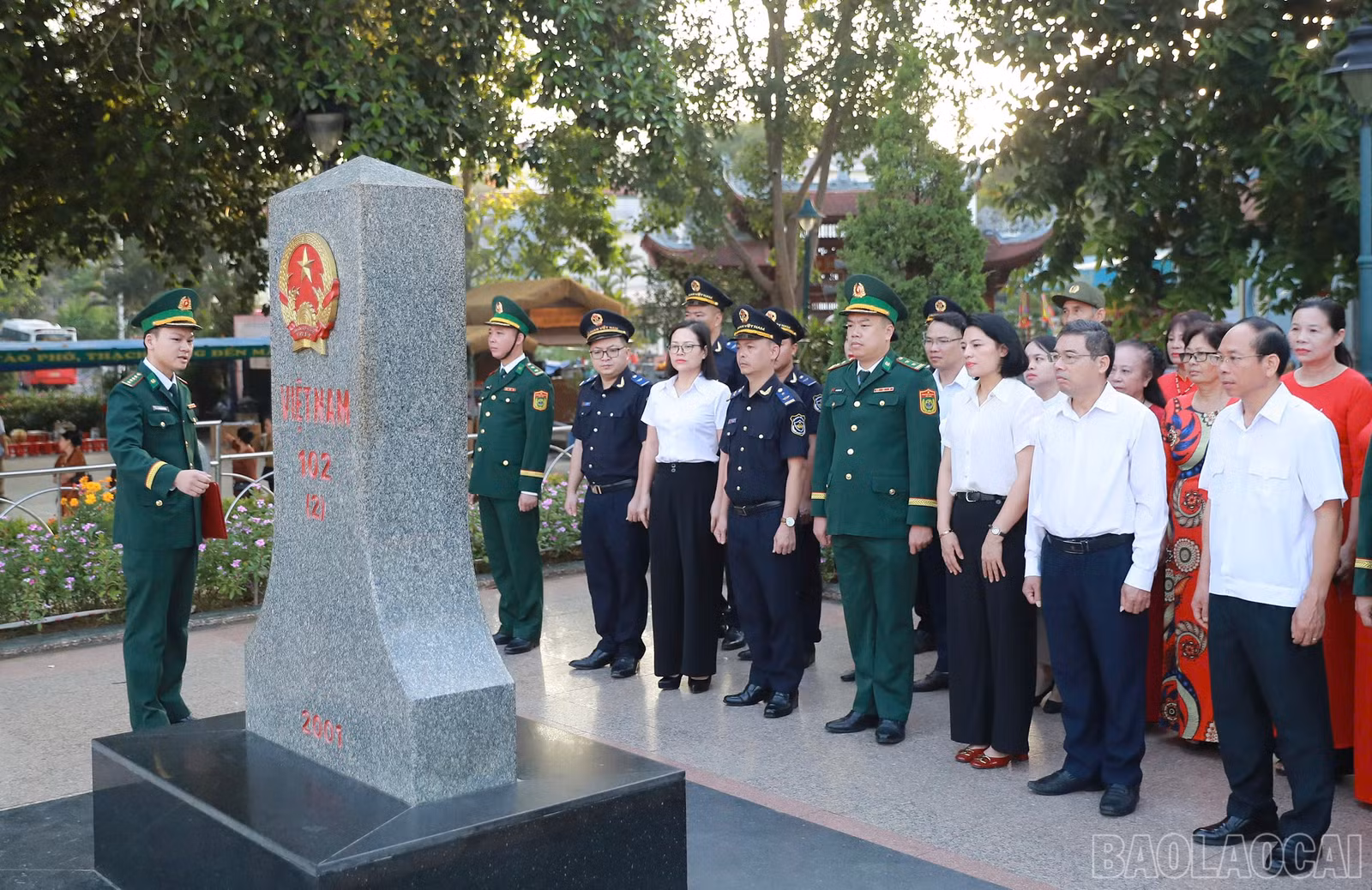 baolaocai-br_cc-5.jpg