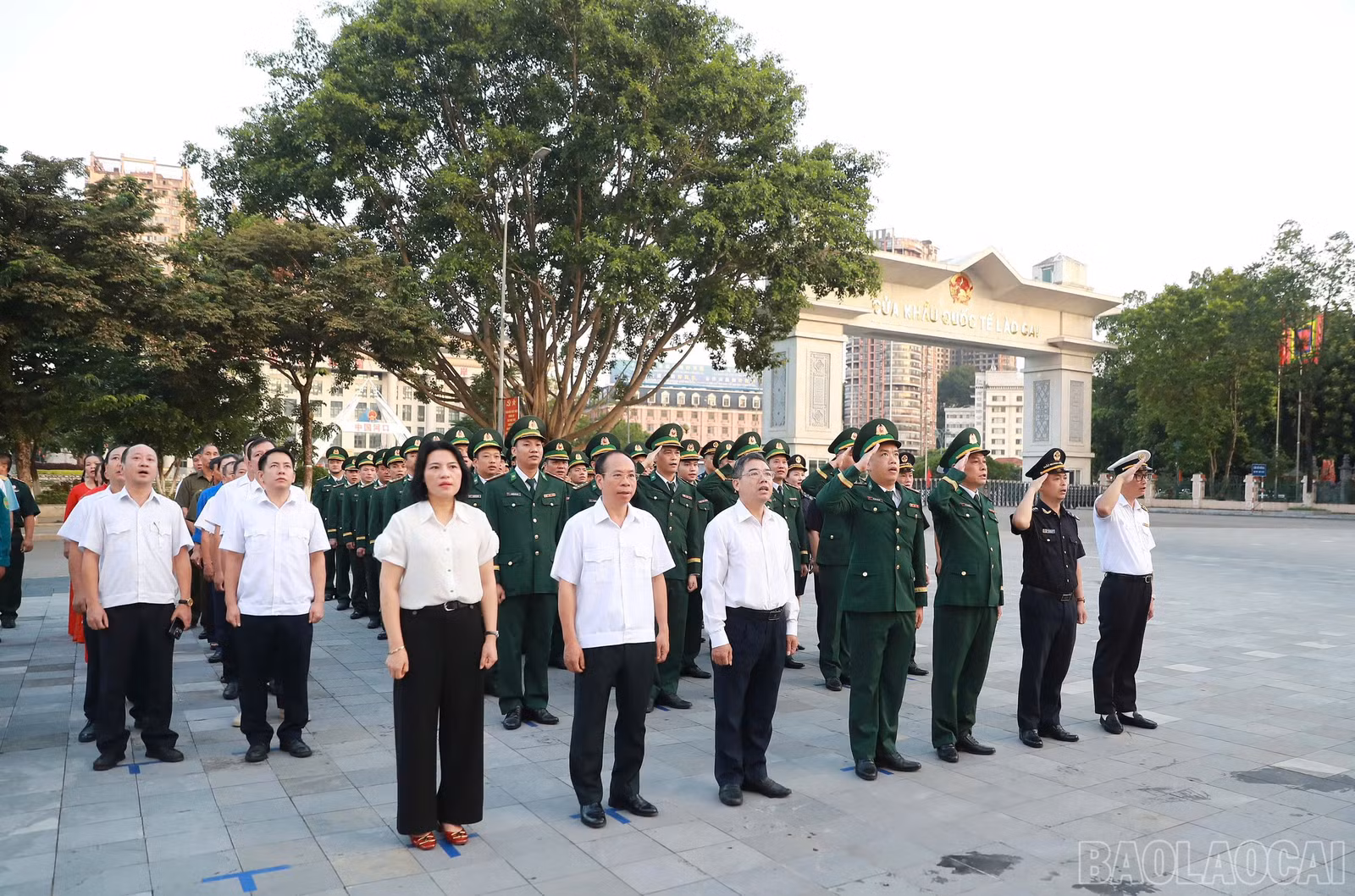 baolaocai-br_cc-4.jpg