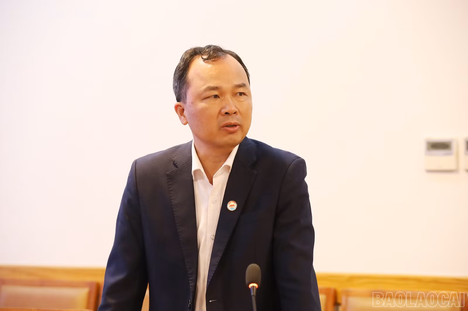 baolaocai-br_img-7226.jpg