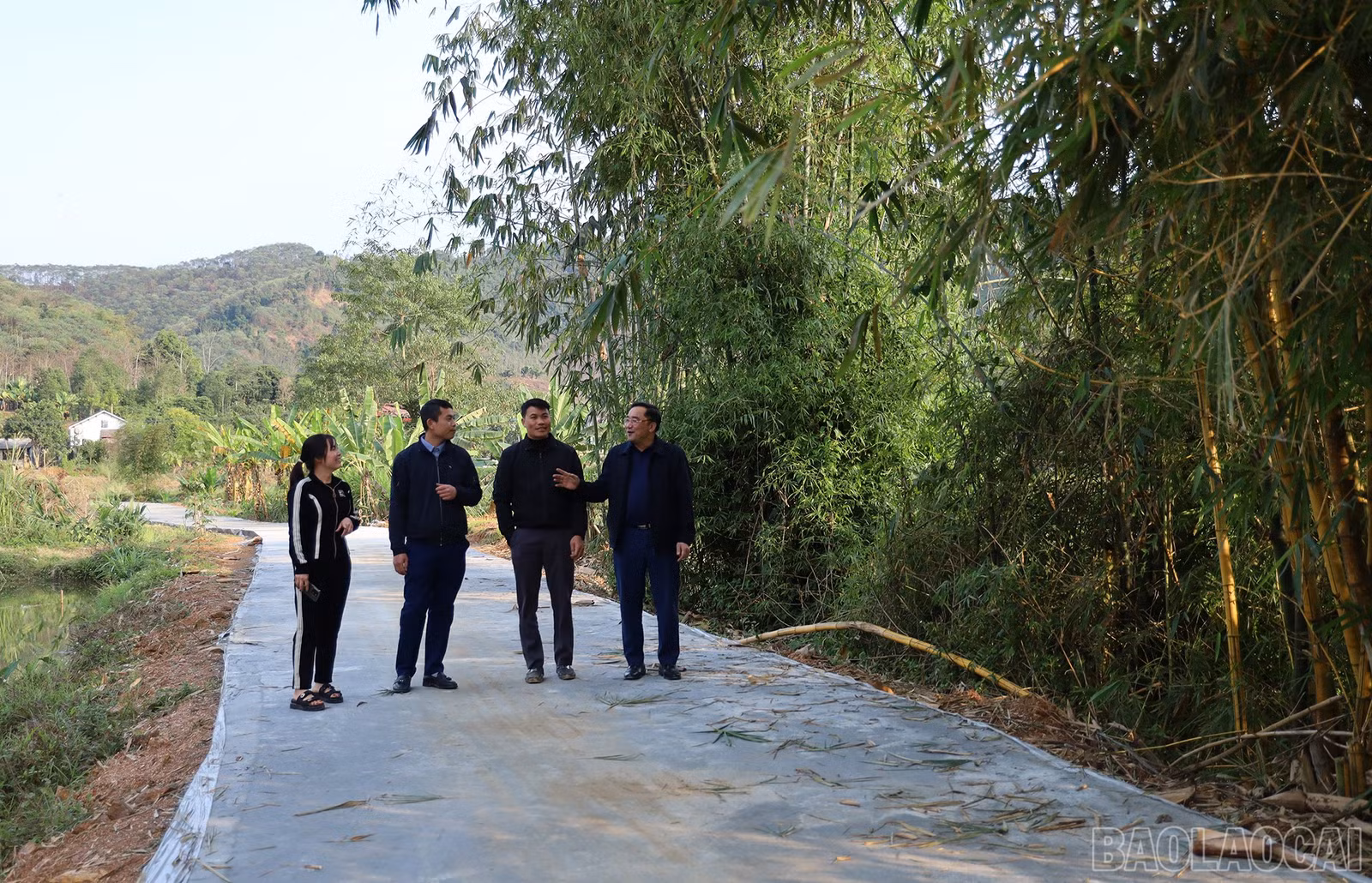 baolaocai-br_img-8361.jpg