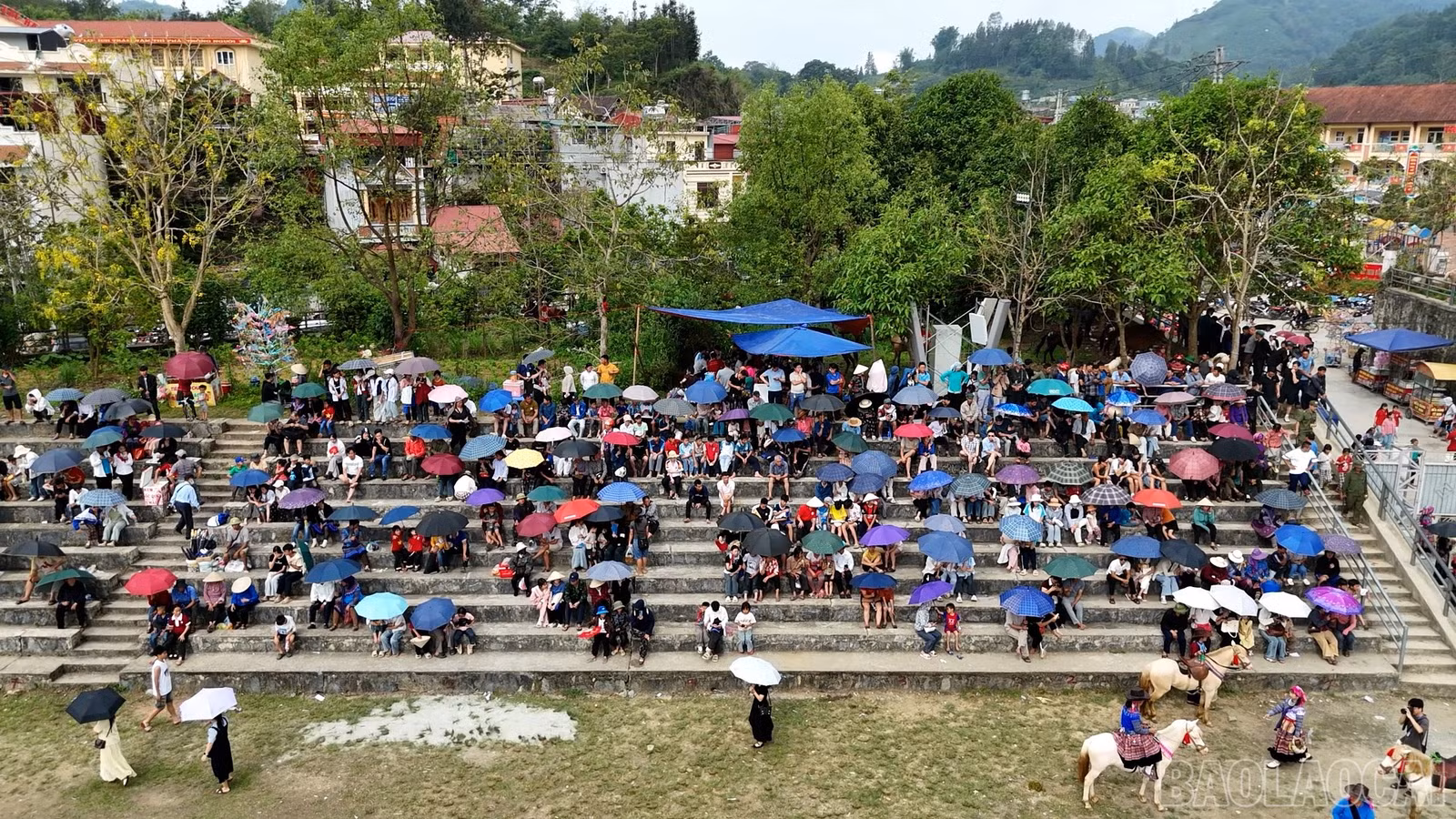 baolaocai-br_duangua-16.jpg
