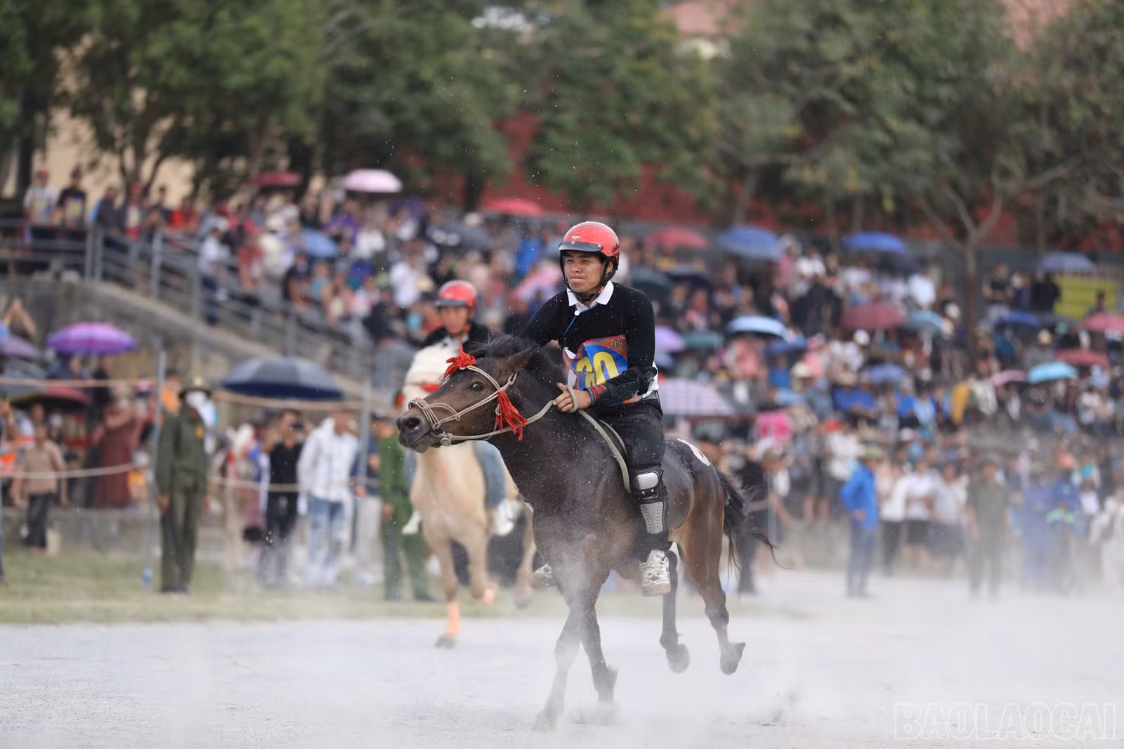 baolaocai-br_khaimac-9.jpg