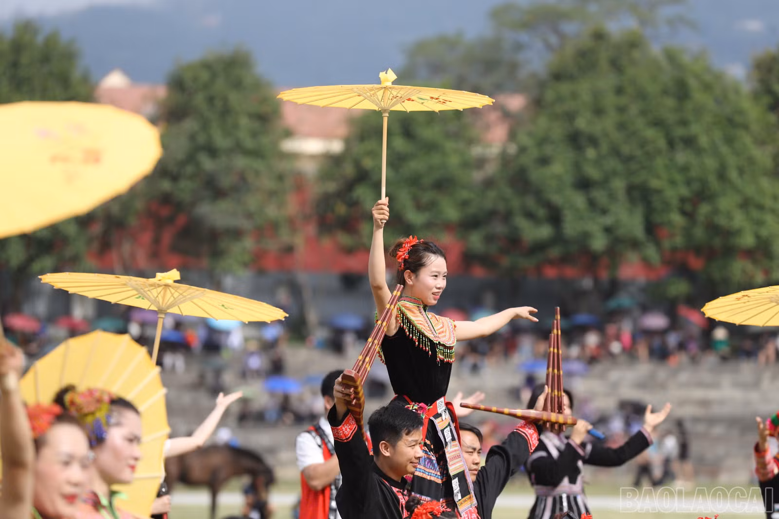 baolaocai-br_khaimac-11.jpg