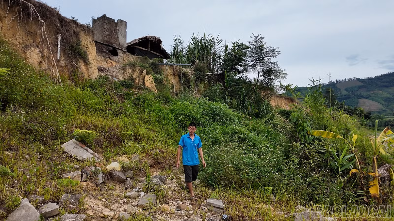 baolaocai-br_satlo-3.jpg