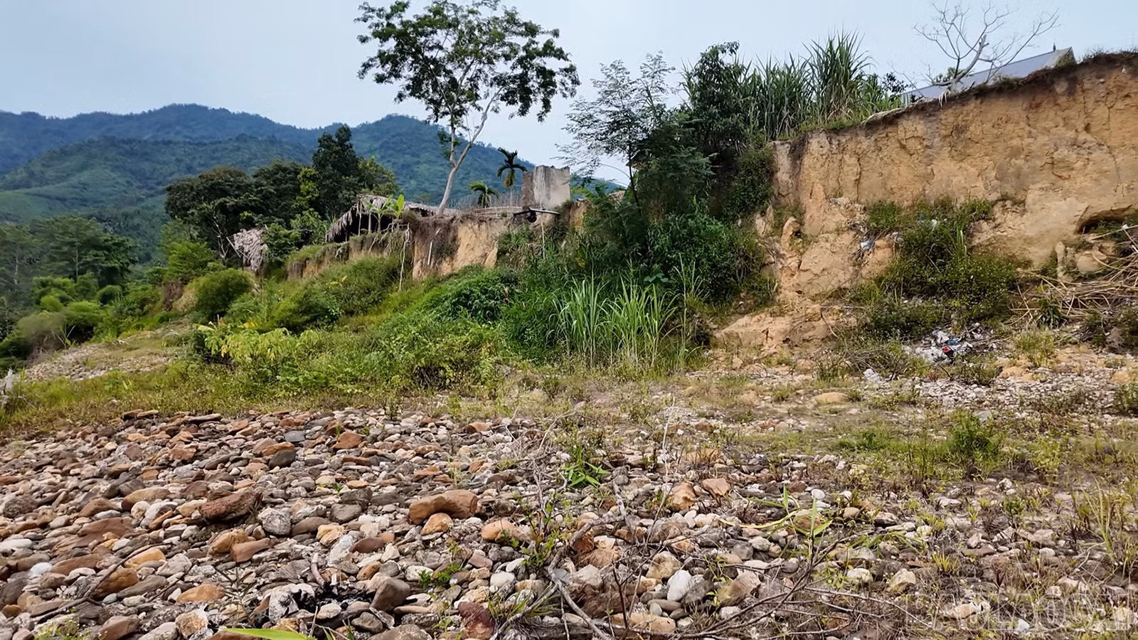 baolaocai-br_satlo-4.jpg