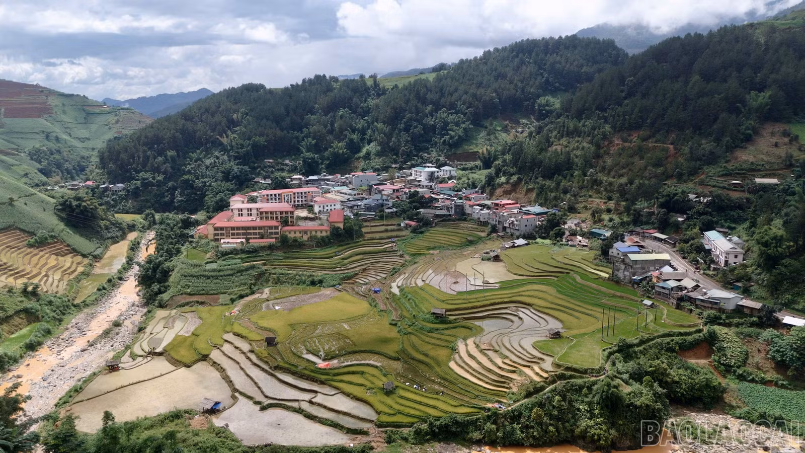 baolaocai-br_deo-8.jpg