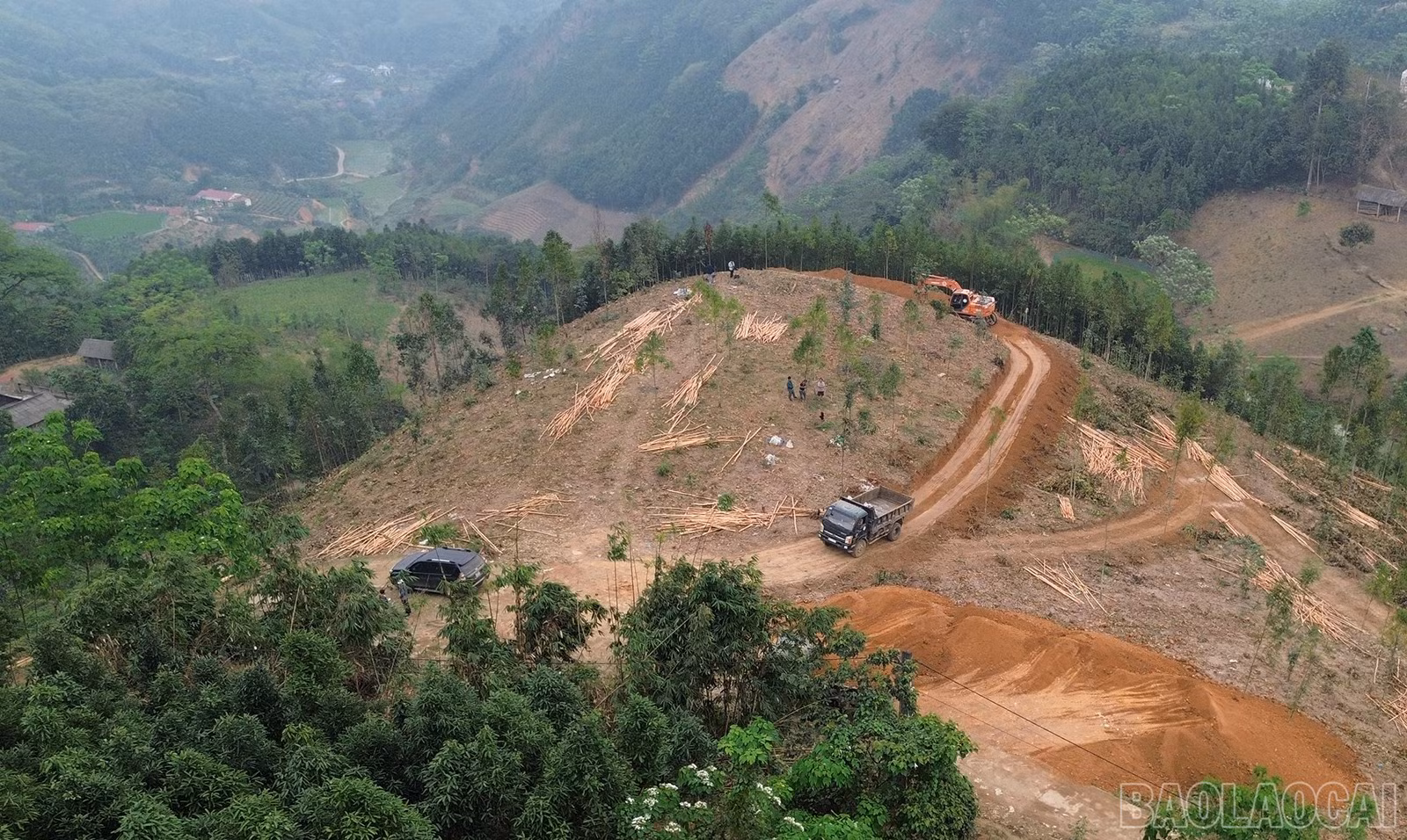 baolaocai-br_dji-0515.jpg
