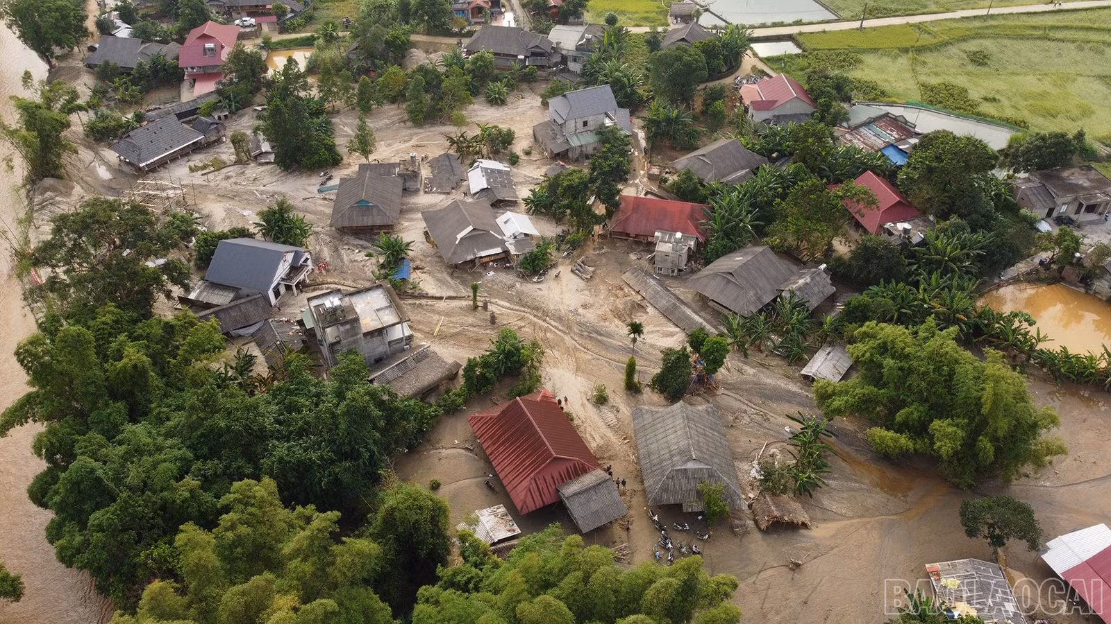 baolaocai-br_dji-0867.jpg