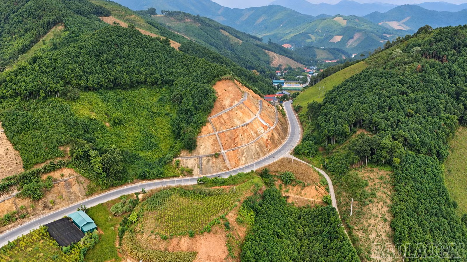 baolaocai-br_ma-9.jpg