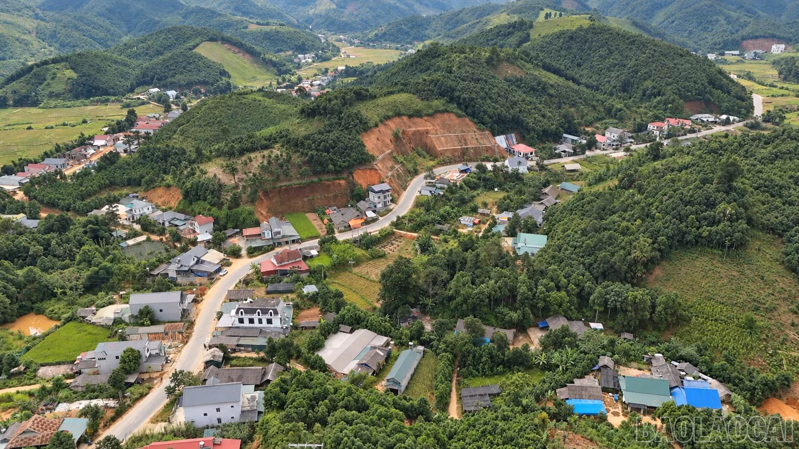 baolaocai-br_ma-3.jpg