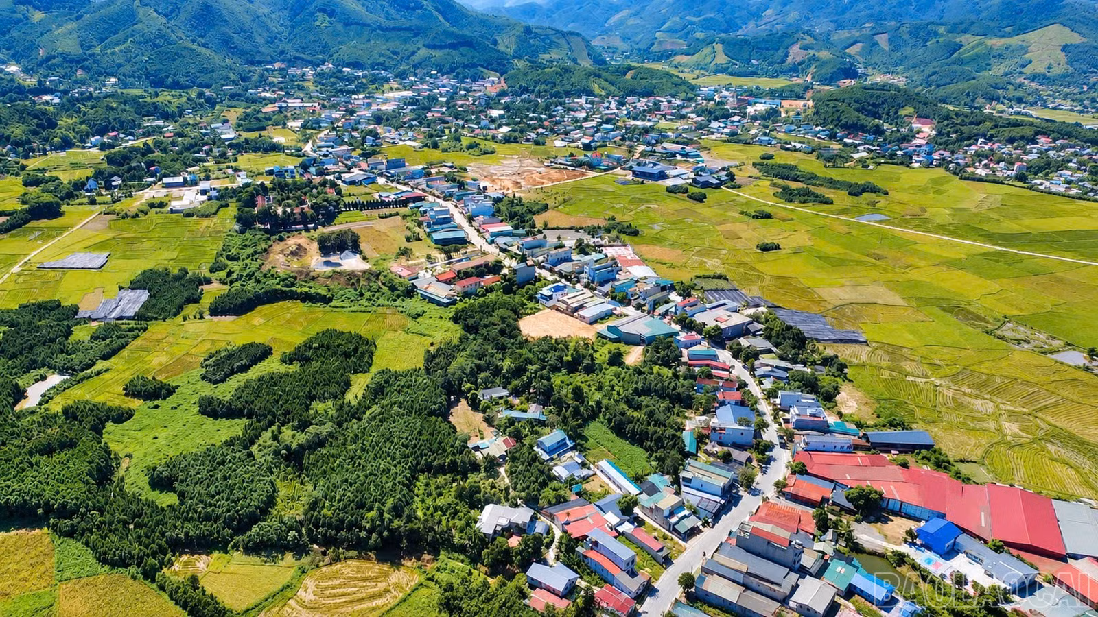 baolaocai-br_ht-4.jpg